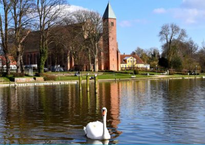 Maribo Domkirke