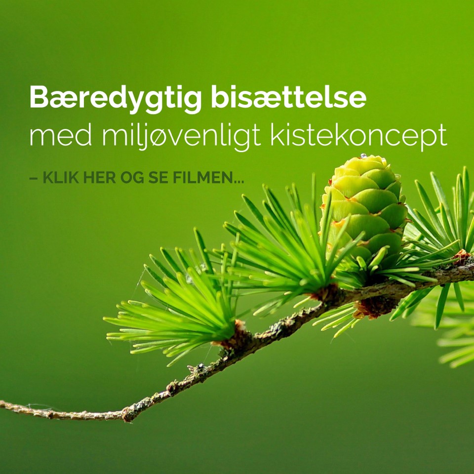 Bæredygtig bisættelse begravelse danmark