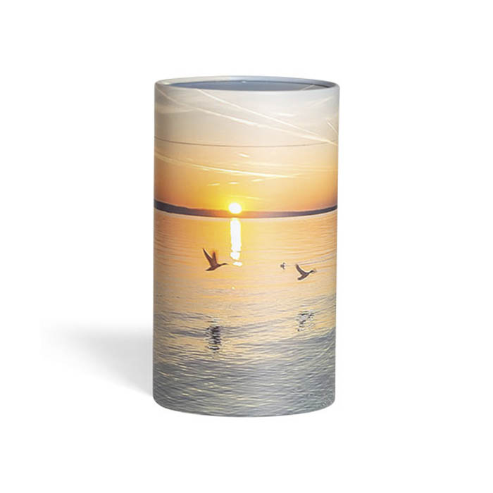 Askerør Med Solnedgang
