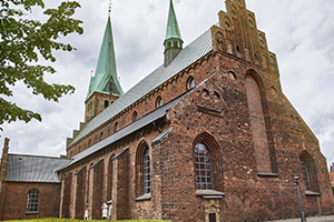 Helsingør Domkirke, Sankt Olai Kirke, Web