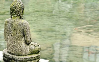 Buddhistisk bisættelse i Danmark – ritualer, tradi…